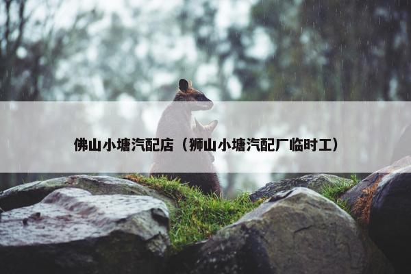 佛山小塘汽配店（狮山小塘汽配厂临时工）