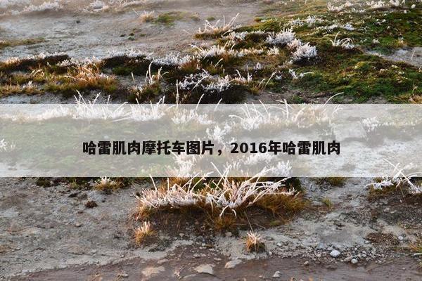 哈雷肌肉摩托车图片，2016年哈雷肌肉