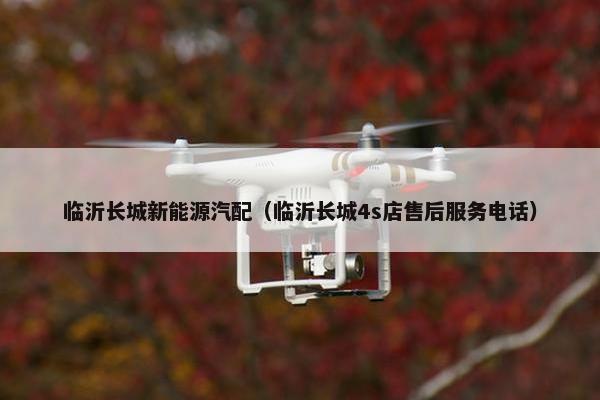 临沂长城新能源汽配（临沂长城4s店售后服务电话）