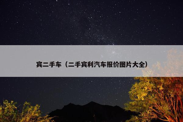 宾二手车（二手宾利汽车报价图片大全）