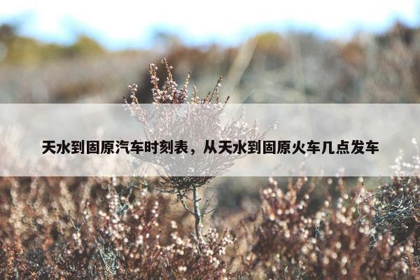 天水到固原汽车时刻表，从天水到固原火车几点发车
