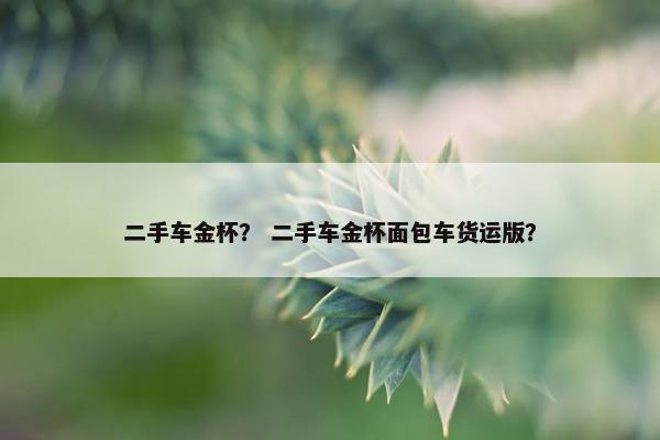 二手车金杯？ 二手车金杯面包车货运版？