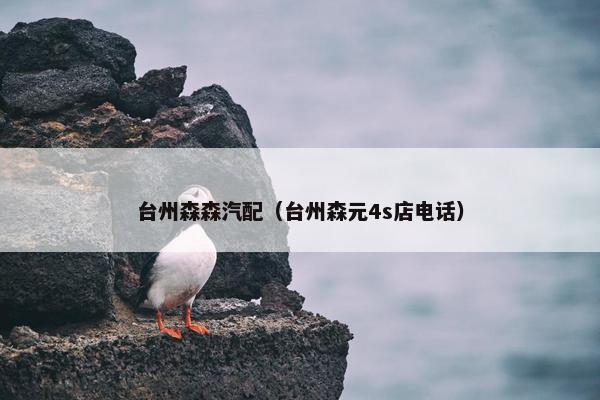 台州森森汽配（台州森元4s店电话）