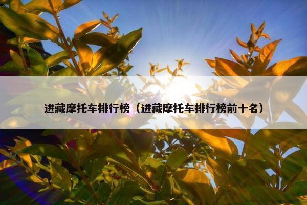 进藏摩托车排行榜（进藏摩托车排行榜前十名）