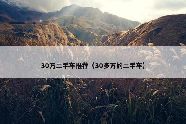 30万二手车推荐（30多万的二手车）