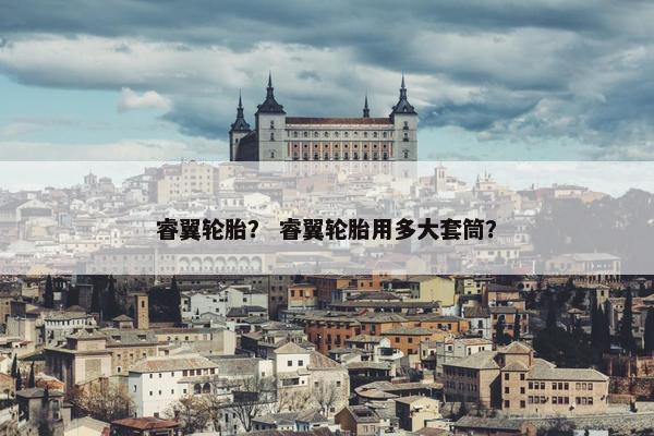 睿翼轮胎？ 睿翼轮胎用多大套筒？