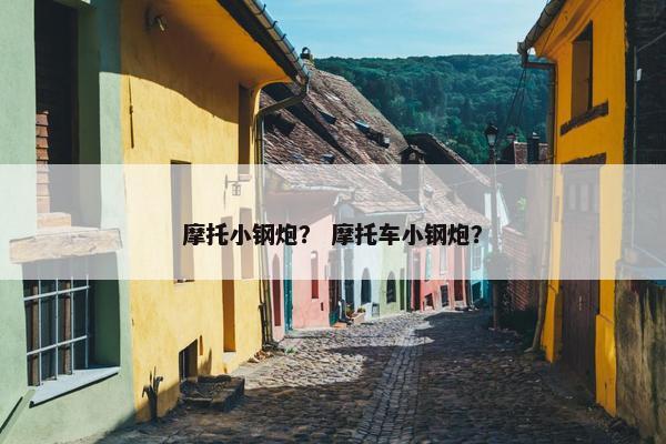 摩托小钢炮？ 摩托车小钢炮？
