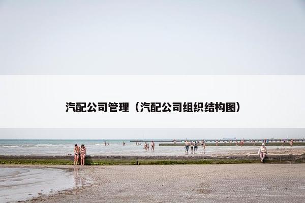 汽配公司管理（汽配公司组织结构图）