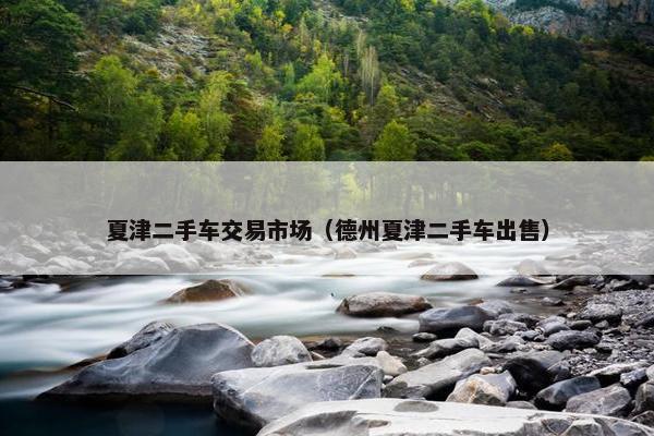 夏津二手车交易市场（德州夏津二手车出售）