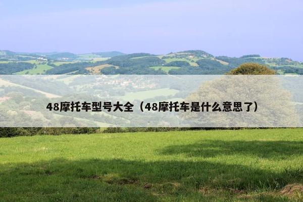 48摩托车型号大全（48摩托车是什么意思了）