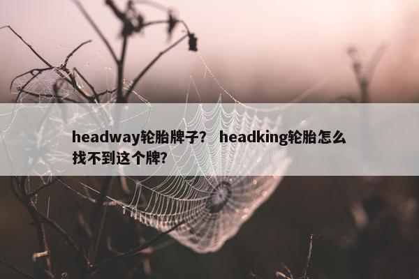 headway轮胎牌子？ headking轮胎怎么找不到这个牌？
