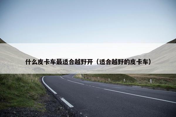 什么皮卡车最适合越野开（适合越野的皮卡车）