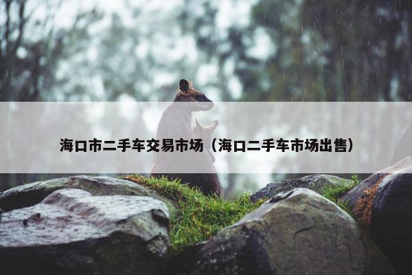 海口市二手车交易市场（海口二手车市场出售）