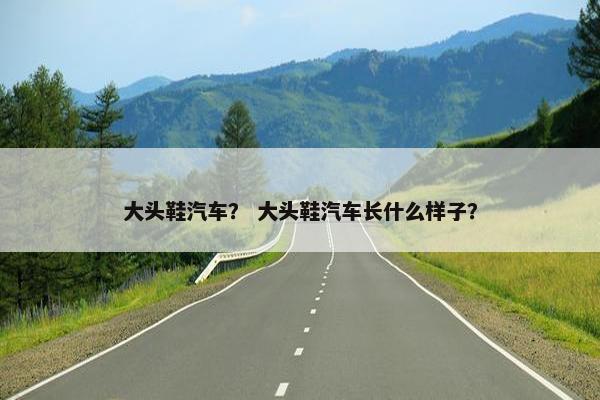 大头鞋汽车？ 大头鞋汽车长什么样子？