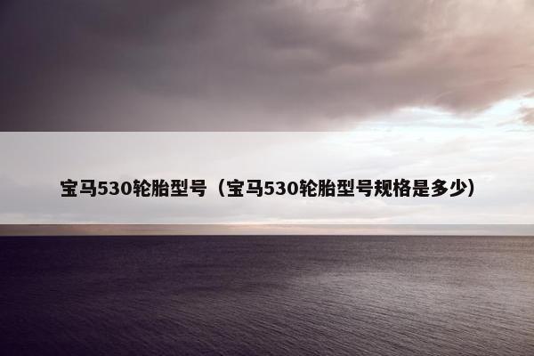 宝马530轮胎型号（宝马530轮胎型号规格是多少）