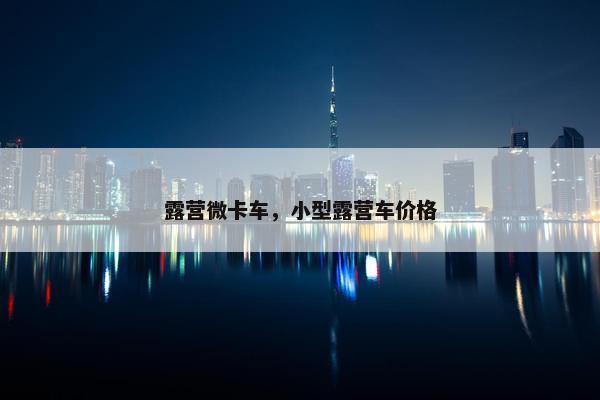露营微卡车，小型露营车价格