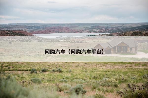 网购汽车（网购汽车平台）