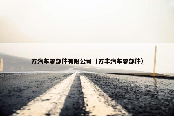万汽车零部件有限公司（万丰汽车零部件）