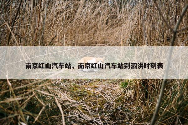 南京红山汽车站，南京红山汽车站到泗洪时刻表
