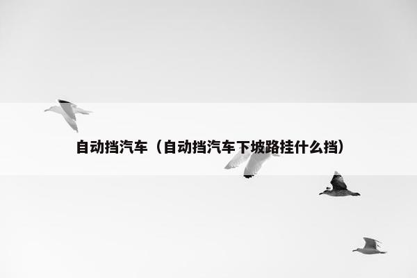 自动挡汽车（自动挡汽车下坡路挂什么挡）