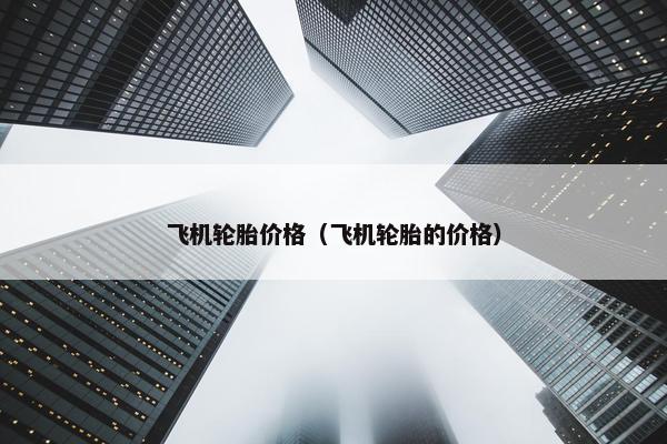 飞机轮胎价格（飞机轮胎的价格）