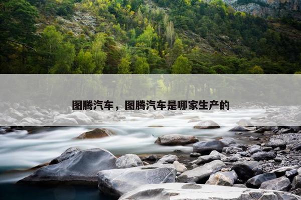 图腾汽车，图腾汽车是哪家生产的