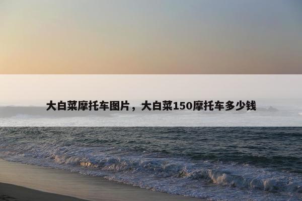 大白菜摩托车图片，大白菜150摩托车多少钱