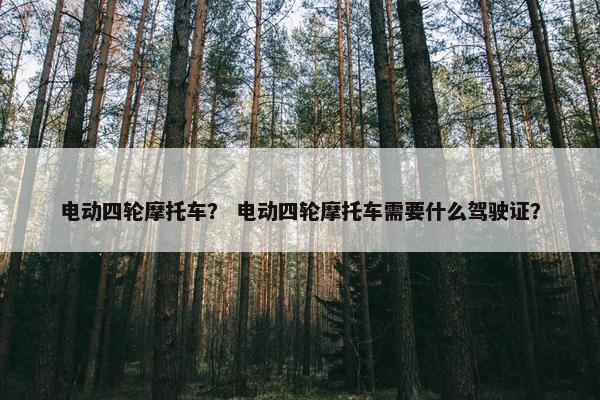 电动四轮摩托车？ 电动四轮摩托车需要什么驾驶证？
