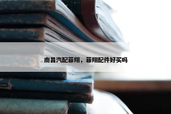 南昌汽配菲翔，菲翔配件好买吗