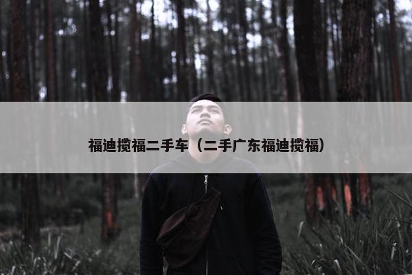 福迪揽福二手车（二手广东福迪揽福）