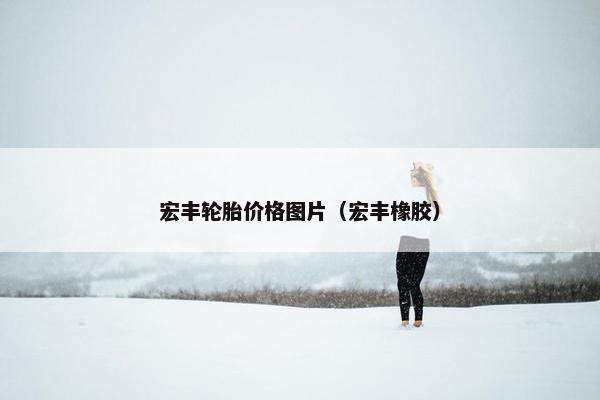 宏丰轮胎价格图片（宏丰橡胶）