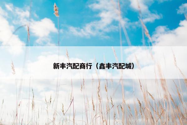 新丰汽配商行（鑫丰汽配城）