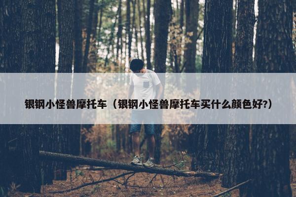 银钢小怪兽摩托车（银钢小怪兽摩托车买什么颜色好?）