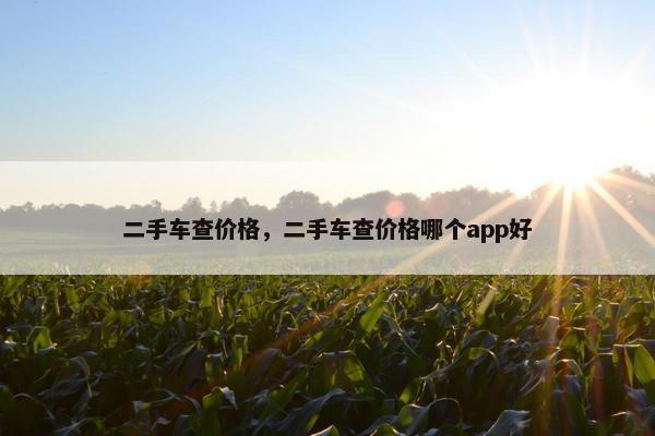 二手车查价格，二手车查价格哪个app好