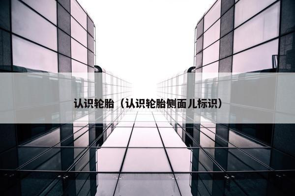 认识轮胎（认识轮胎侧面儿标识）