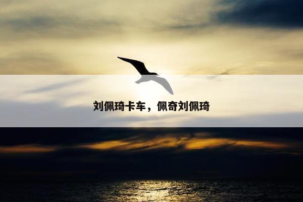 刘佩琦卡车，佩奇刘佩琦