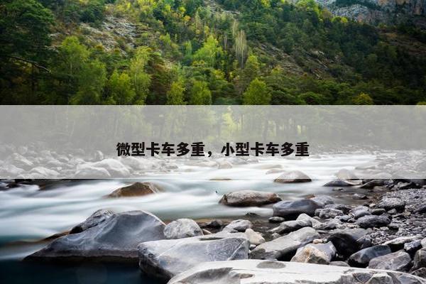微型卡车多重，小型卡车多重