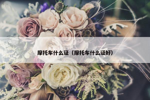 摩托车什么证（摩托车什么证好）