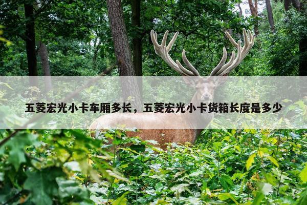 五菱宏光小卡车厢多长，五菱宏光小卡货箱长度是多少