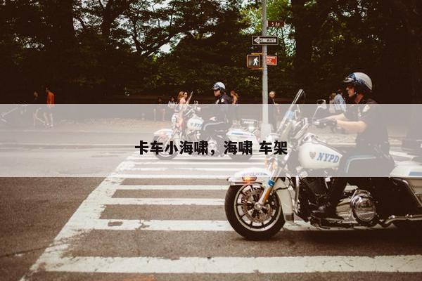 卡车小海啸，海啸 车架