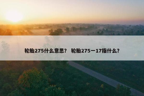 轮胎275什么意思？ 轮胎275一17指什么？