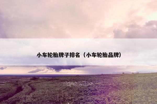小车轮胎牌子排名（小车轮胎品牌）