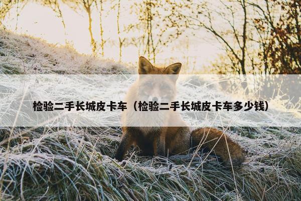 检验二手长城皮卡车（检验二手长城皮卡车多少钱）