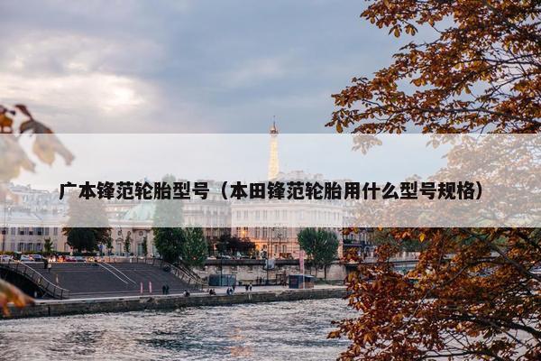广本锋范轮胎型号（本田锋范轮胎用什么型号规格）