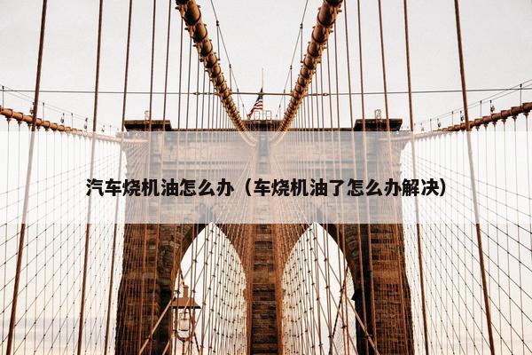 汽车烧机油怎么办（车烧机油了怎么办解决）