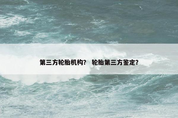第三方轮胎机构？ 轮胎第三方鉴定？