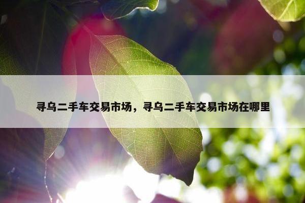 寻乌二手车交易市场，寻乌二手车交易市场在哪里
