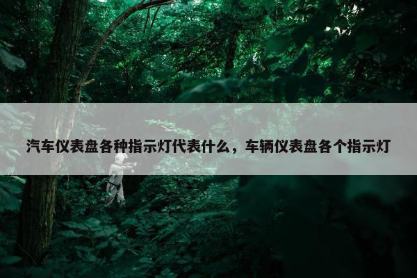 汽车仪表盘各种指示灯代表什么，车辆仪表盘各个指示灯