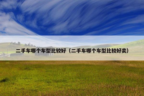 二手车哪个车型比较好（二手车哪个车型比较好卖）