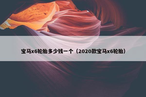宝马x6轮胎多少钱一个（2020款宝马x6轮胎）